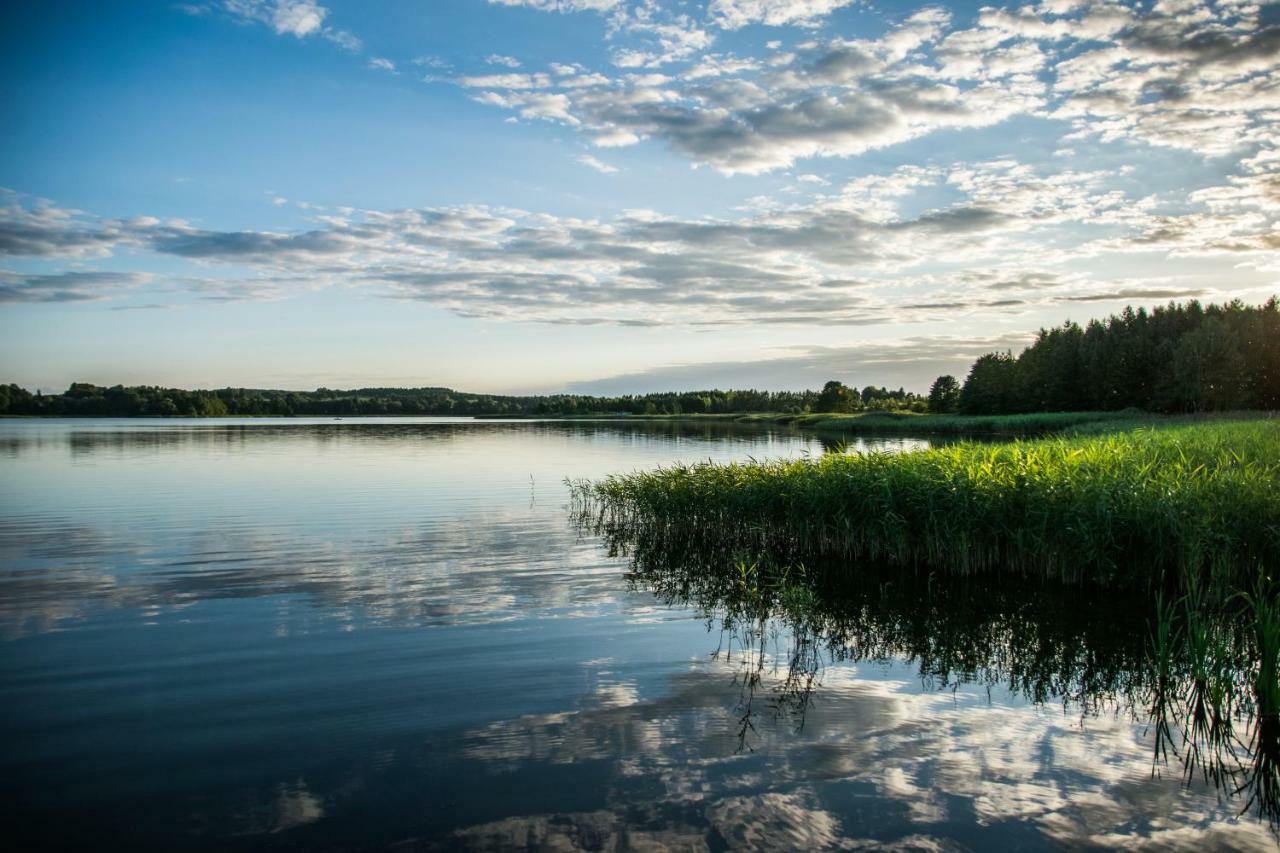 Zielna Farma Villa Blanki Exteriör bild