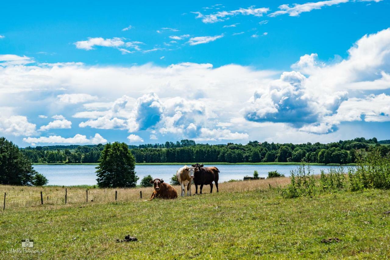 Zielna Farma Villa Blanki Exteriör bild